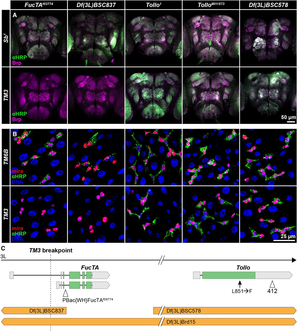 /miller-buddika-2020/featured-image.jpeg /miller-buddika-2020/featured-image.jpeg